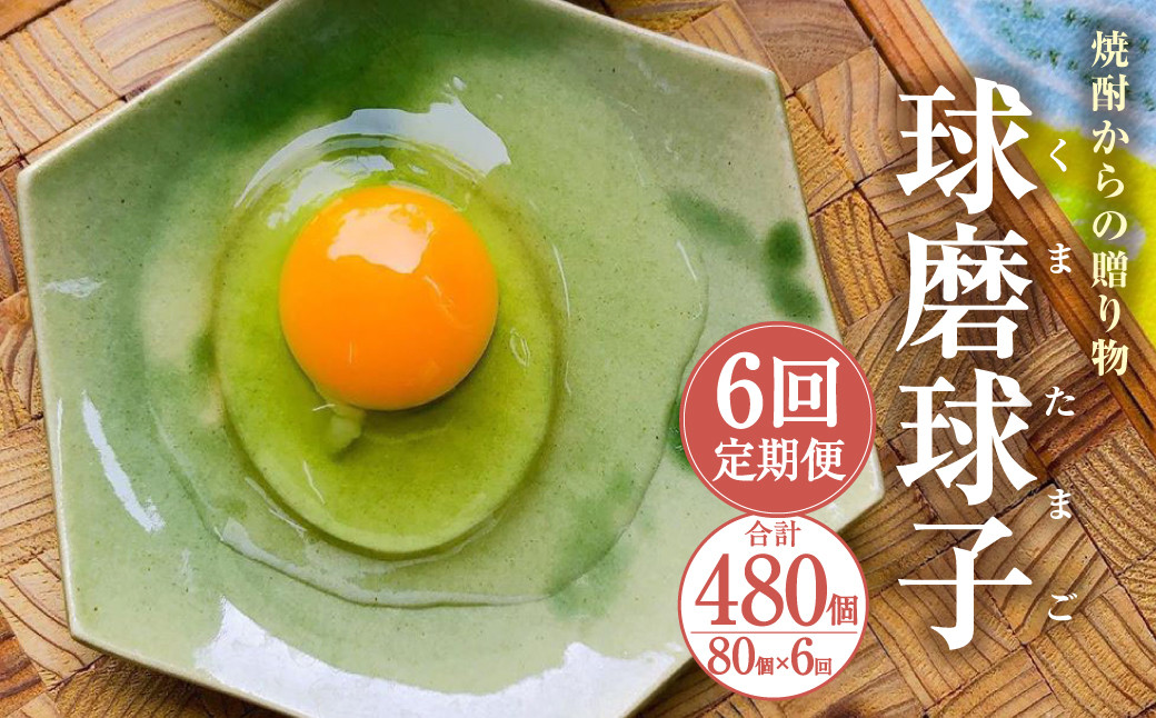【定期便6回】球磨球子 80個×6回 合計480個 鶏卵 卵 玉子 たまご くまたまご
