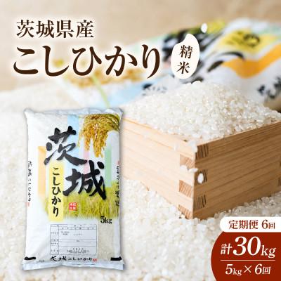 ふるさと納税 かすみがうら市 【毎月定期便】茨城県かすみがうら市産　精米　コシヒカリ5kg全6回