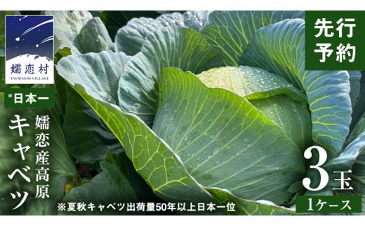 【7月上旬以降発送開始】 嬬恋キャベツ 嬬恋産 高原キャベツ3玉1ケース 先行予約 2025年発送 旬の野菜 きゃべつ 産地直送 群馬 お取り寄せ 野菜 セット Lサイズ [AS010tu]