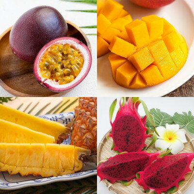 【ふるさと納税】【発送月固定定期便】南国フルーツセット(パッションフルーツ&マンゴー&パイン&ドラゴンルーツ)全4回【配送不可地域：離島】【4081241】