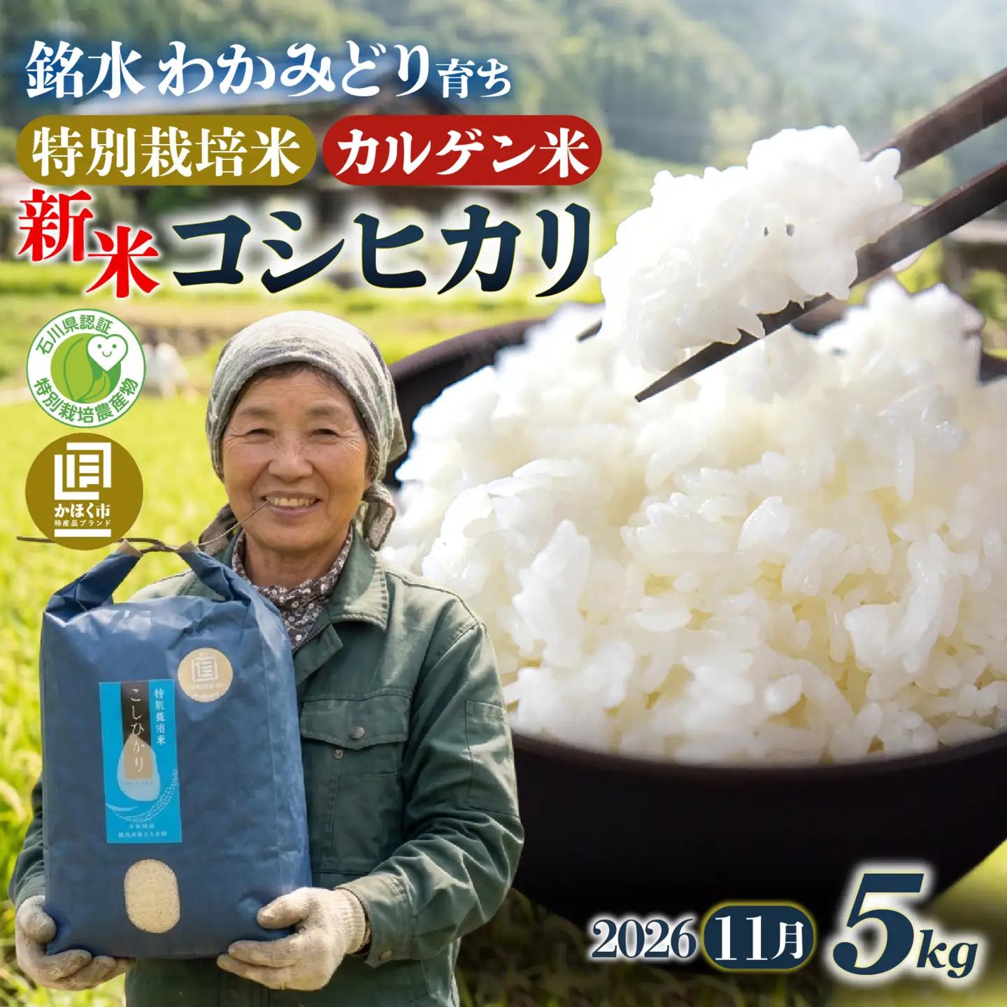 【先行予約】こしひかり 5kg【2026年11月発送】｜ コシヒカリ お米