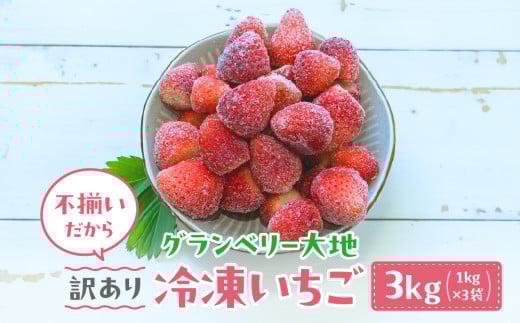 【訳あり】冷凍いちご　3kg (1㎏×3袋) いちごイチゴ 苺 冷凍 シェイク スムージー 冷たい グランベリー大地 茨城県 常総市 ※沖縄県・離島への配送不可