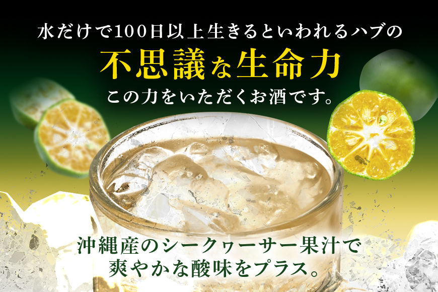 【沖縄生まれの新感覚ハイボール】琉球ハブボール350ml 12缶ギフトセット