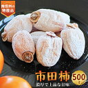 【ふるさと納税】 信州の特産品「市田柿」ご家庭用 500g〈2025年1月上旬～2月下旬発送〉 【配送不可地域：離島】【1008759】