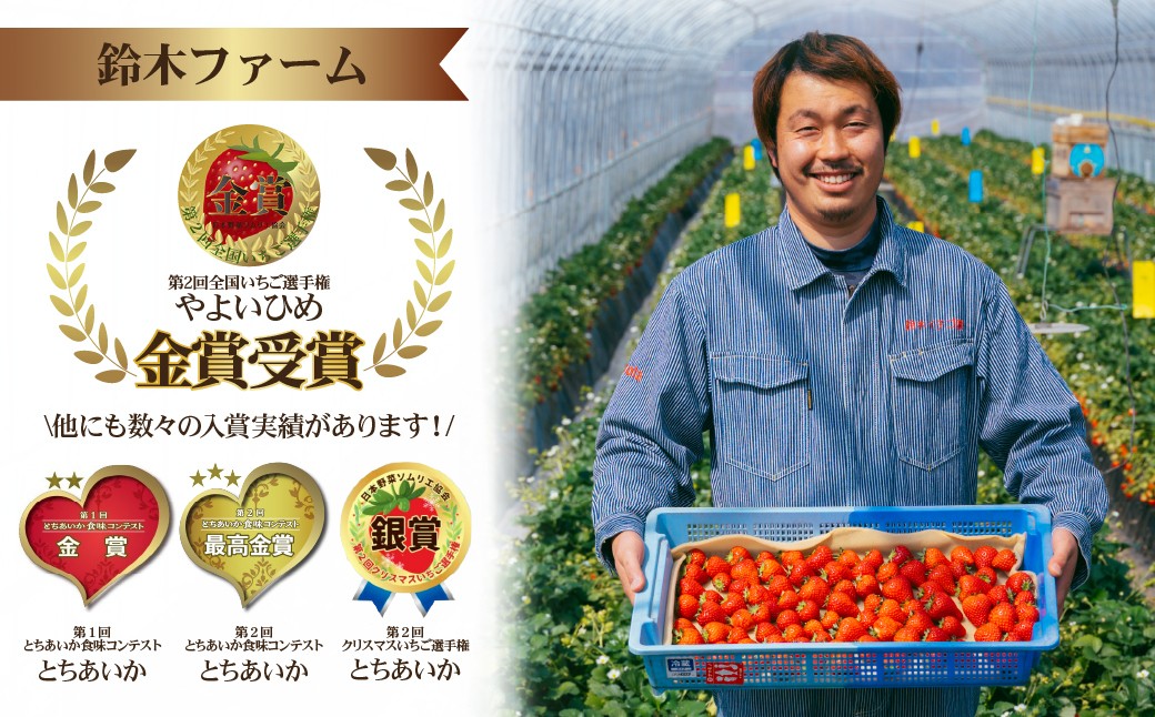 いちご イチゴ 苺 とちあいか 完熟 ジャム スムージー スイーツ デザート アイス シャーベット