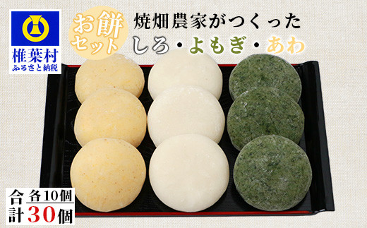 
【チョイス限定】焼畑農家がつくった3種のお餅セット(白もち よもぎもち あわもち)【日本三大秘境の地「椎葉村」からお届け】
