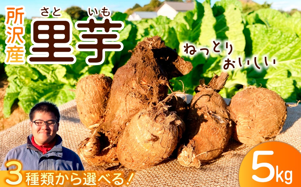 
                  里芋 5kg 選べる大きさ | さといも サトイモ 芋 いも イモ 根菜 野菜 芋煮 煮物 煮込み 料理 鍋 和食 新鮮 掘りたて ねっとり 贈答用 ギフト 国産 産地直送 季節限定 三富 こうやま農園 埼玉県 所沢市
                
