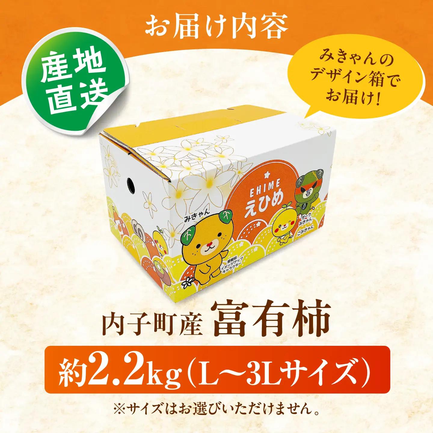 富有柿 2.2kg みきゃん箱【北海道・沖縄配送不可】BKAY018