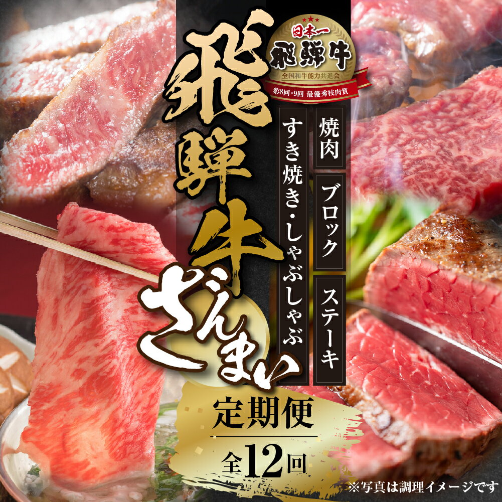 【ふるさと納税】《定期便》全12回 飛騨牛 ざんまい（ステーキ /焼肉 / すき焼き/切り落とし/ブロック）[飛騨高山ミート][MZ106]