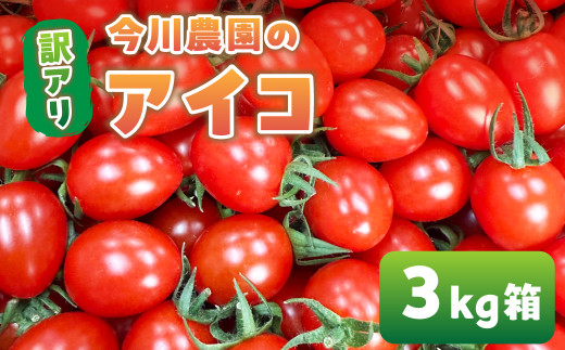 【ふるさと納税】【先行予約】今川農園のミニトマト 訳ありアイコ 3kg 先行予約受付 期間限定 季節限定 野菜 国産 完熟 やさい フルーツ トマト 完熟 千果 ミニトマト イエロー プチトマト イエロートマト プチ お弁当 贈り物 おやつ サラダ 送料無料 産地直送