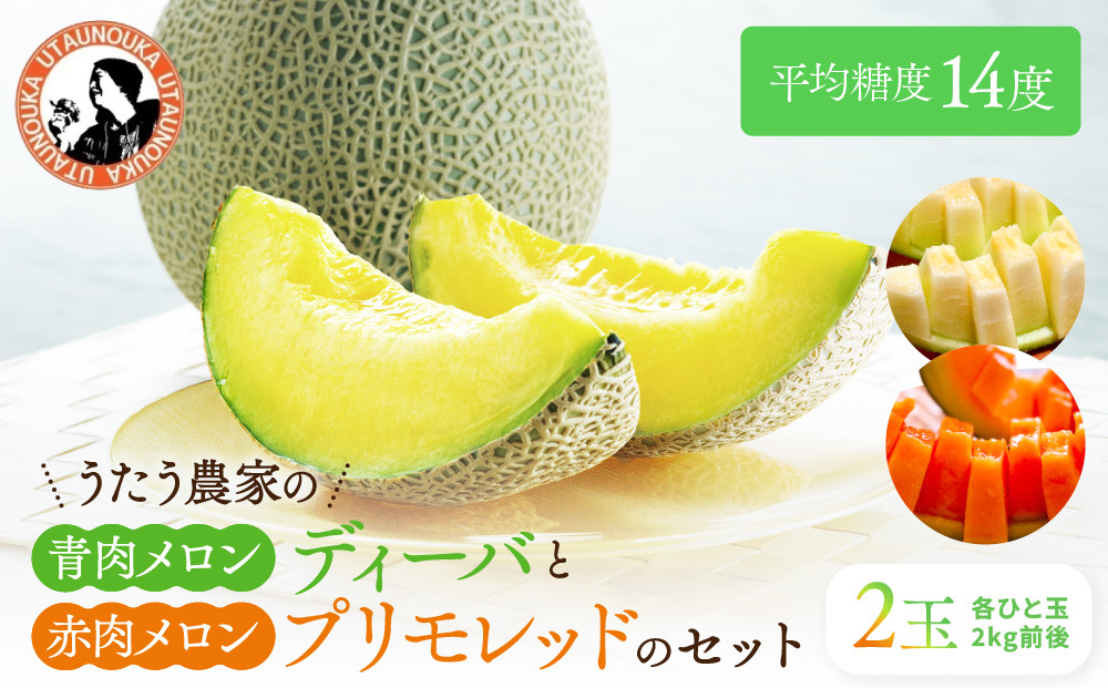 【先行予約】956.【ふるさと納税】青肉メロンディーバと赤肉メロンプリモレッドのセット ※日本全国配送可能  2026年10月上旬頃～11月上旬頃に順次発送予定 313726_BQ012