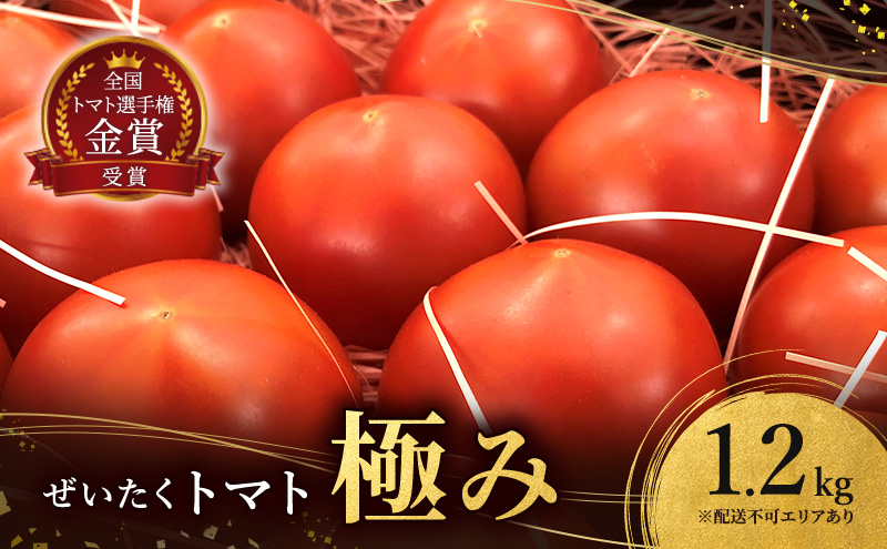 ぜいたく トマト 極み 1.2kg セット 詰め合わせ 第一回全国トマト選手権ミディアム部門金賞 高糖度トマト 甘い 高糖度 とまと 野菜 季節の野菜 旬の野菜 兵庫 兵庫県 稲美町