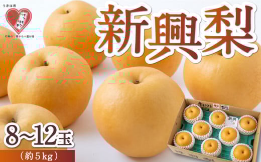 【先行予約】 佐藤ファーム 新興梨 8玉から12玉 （約5kg） 【2025年10月中旬から10月下旬 出荷予定】 梨 なし ナシ 新興 しんこう 果物 くだもの フルーツ 果実 ジューシー お取り寄せ 福岡県 うきは市