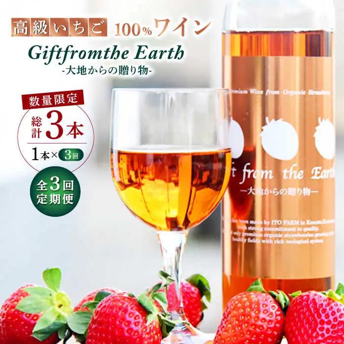 【3回定期便】高級 いちご 100％ワイン Giftfromthe Earth -大地からの贈り物- オーガニック【伊藤農園】 いちご 苺 熊本県 特産品 有機 お酒 オーガニックワイン [ZBB018]