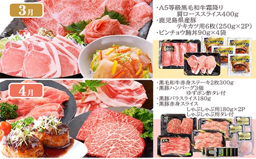 定期便(12回配送)お楽しみ便(A5等級黒毛和牛・黒豚・かつお・まぐろ・さつまあげ等)JJ-6002【1166755】 _ ふるさと納税 定期便 牛肉 豚肉 しゃぶしゃぶ ステーキ ハンバーグ まぐろ