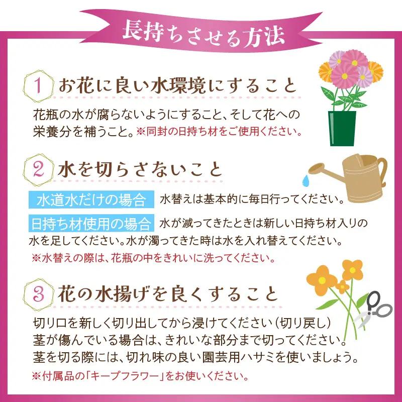 【定期便4回】花農家直送 新鮮な切花【春 夏 秋 冬】 / 生花 お花 旬の花束 豊かな生活 花のある生活 15本程度 2種 季節 年4回お届け [aw099-d001]