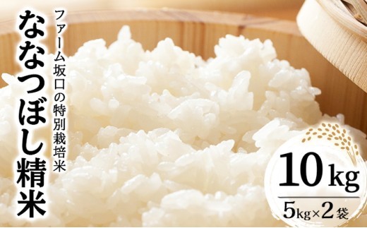 《令和8年産》お米 ななつぼし精米 10kg (5kg×2袋)｜米 精米 北海道 岩 見沢市 ファーム坂口の特別栽培米