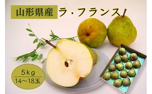 
            《先行予約 2025年度発送》【山形県産】ラ・フランス5kg（14～18玉/2L～4L）  なし ナシ 梨 デザート フルーツ 果物 くだもの 果実 食品 山形県 FSY-0404
          