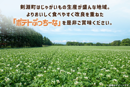 【期間限定発送】 ポテトチップス うすしお 60g 12袋入 2箱 計24袋 1.44kg ポテトぷっちーな [クレヨン農園 北海道 剣淵町 14656332] ポテトチップ ポテチ しお お菓子 ス