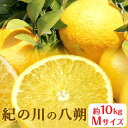 【ふるさと納税】秀品 紀の川の八朔 約10kg Mサイズ 厳選 はっさく 柑橘《1月中旬-2月下旬頃出荷》 紀の川市厳選館 和歌山県 紀の川市 フルーツ 果物