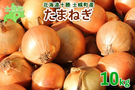 《期間限定》北海道 士幌産 たまねぎ 玉ねぎ タマネギ 玉ネギ 玉葱 10kg (2025年12月発送予定)  採れたて オニオン 旬の野菜 期間限定 新鮮 野菜 産地直送 産直 お取り寄せ 送料無料 十勝 士幌町 【V07】