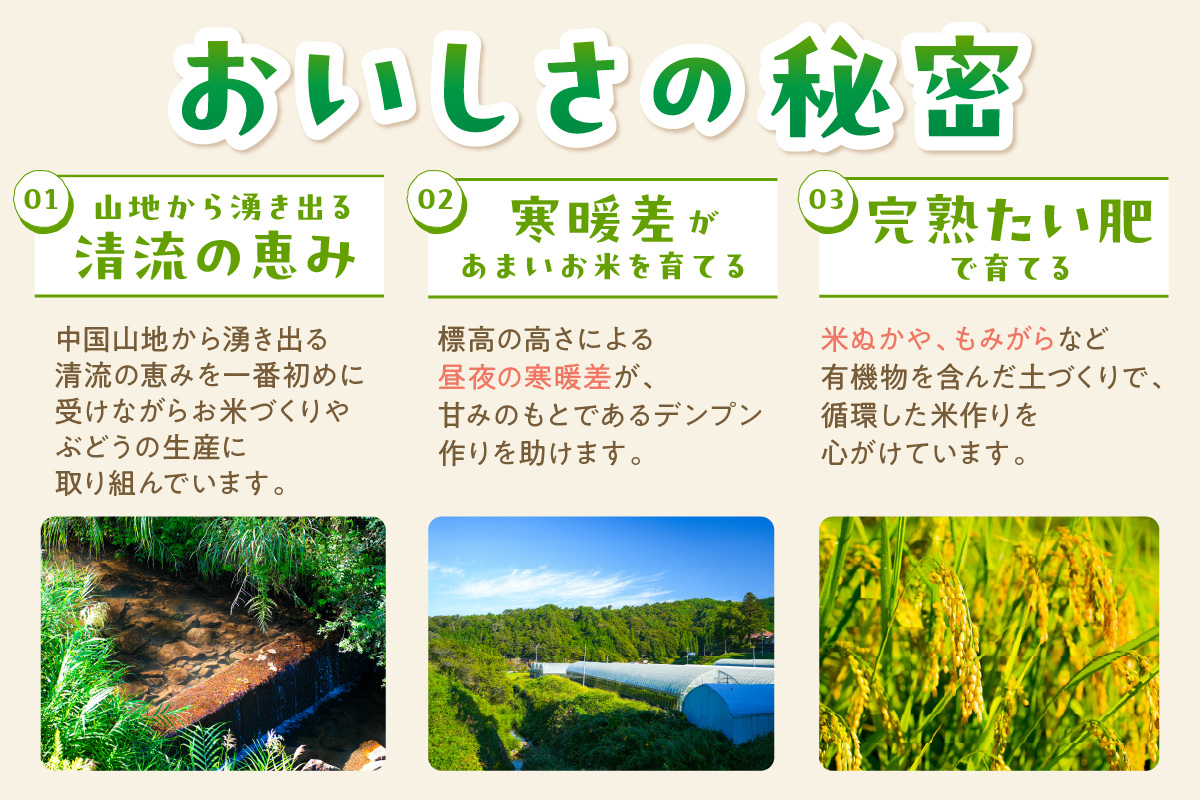 【定期便】【令和6年産】浜田市金城町産コシヒカリ「おぐに米」10kg定期便（6回コース）＜10月下旬以降の発送予定＞ 定期便 10キロ 6回 米 お米 こしひかり 白米 特産品 お取り寄せ 精米 小分