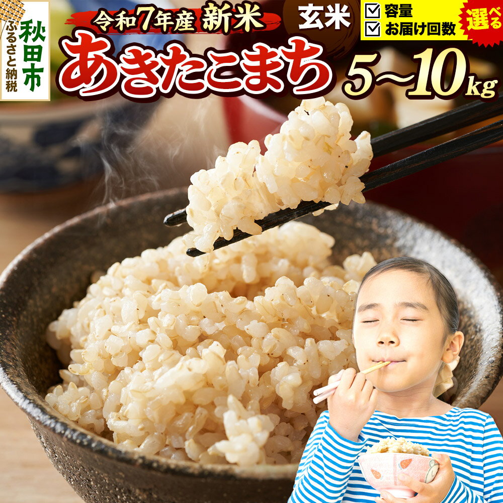 【ふるさと納税】《令和7年産 新米先行受付》《選べる容量×お届け回数》 米 あきたこまち 5kg・10kg（5kg小分け袋） 【玄米】 秋田県産