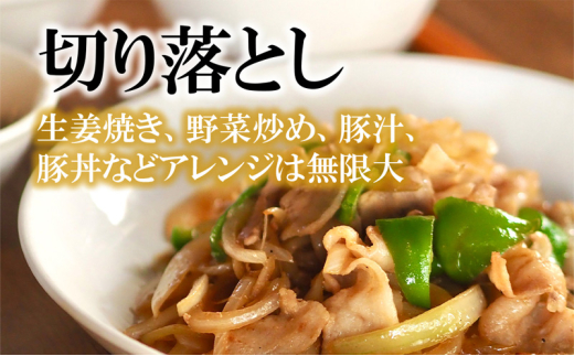 【3ヵ月定期便】湘南豚 切り落し 1.0kg 小分け 250g × 4P 3か月 冷凍  豚 ぶたにく ぶた肉 Pork 豚肉 ブランド豚 切り落とし 国産 国産豚 神奈川県産 定期便 肉 にく ポー