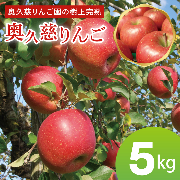 先行予約 奥久慈 りんご 5kg 樹上完熟 奥久慈りんご園 茨城県 大子町 フルーツ 果物 国産 詰め合わせ ふじ 秋映 陽光 シナノゴールド シナノスイート 秋 旬 お取り寄せ 数量限定 【2026年9月中旬頃順次発送開始予定】(AI006)