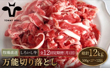 【牧場直送】【12回定期便】佐賀県産しろいし牛 万能切落し 1000g 【有限会社佐賀セントラル牧場】[IAH135]