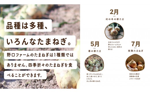 【全３回定期便】淡路島たまねぎ２kg　旬の贅沢セット！【2・5・7月発送】