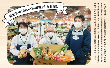 【かごしま野菜定期便 （全6回）】旬鮮野菜と果物のセット（12～14品目） 野菜 お野菜 九州 野菜BOX 旬 セット 詰合せ 定期便 JA鹿児島県経済連 南さつま市