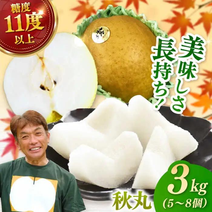 【化粧箱入り】秋丸（王秋）5-8個入（約3kg） / 梨 [41AEAB011]