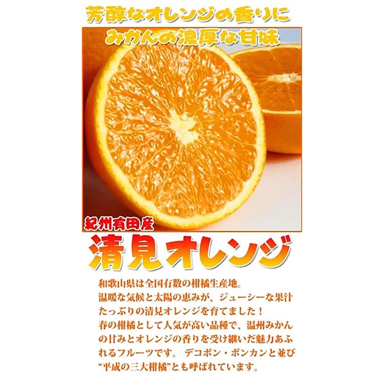 【ご家庭用訳アリ】紀州有田産清見オレンジ　5kg
※2025年3月下旬～4月中旬頃に順次発送予定_イメージ2