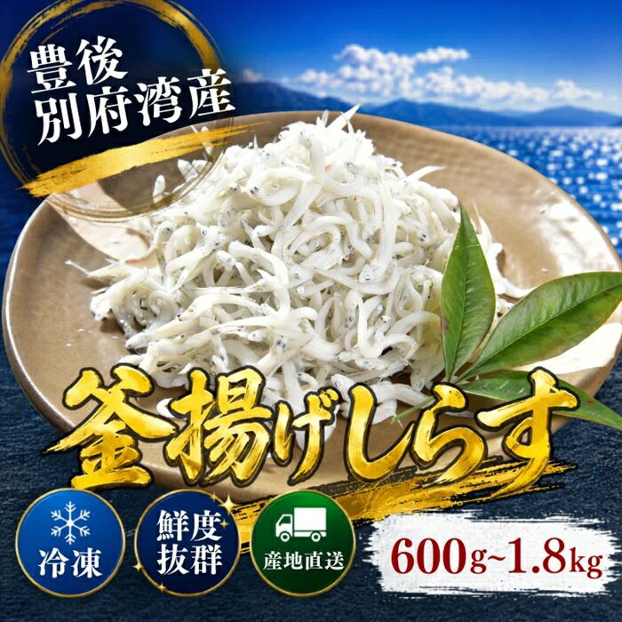 【ふるさと納税】 豊後別府湾釜揚げしらす600g〜1.8kg（2パック〜6パック） ／ 小分け 国産 しらす シラス 釜揚げ シラス丼 海鮮丼 おつまみ 冷凍配送 冷凍 10000円 ＜108-701＞