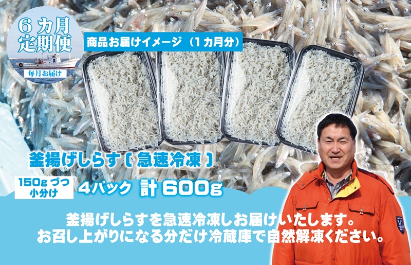 【定期便】泉州しらす （減塩釜揚げ）600g ×全6回 真面目漁師 濱ちゃんのこだわり 099Z310