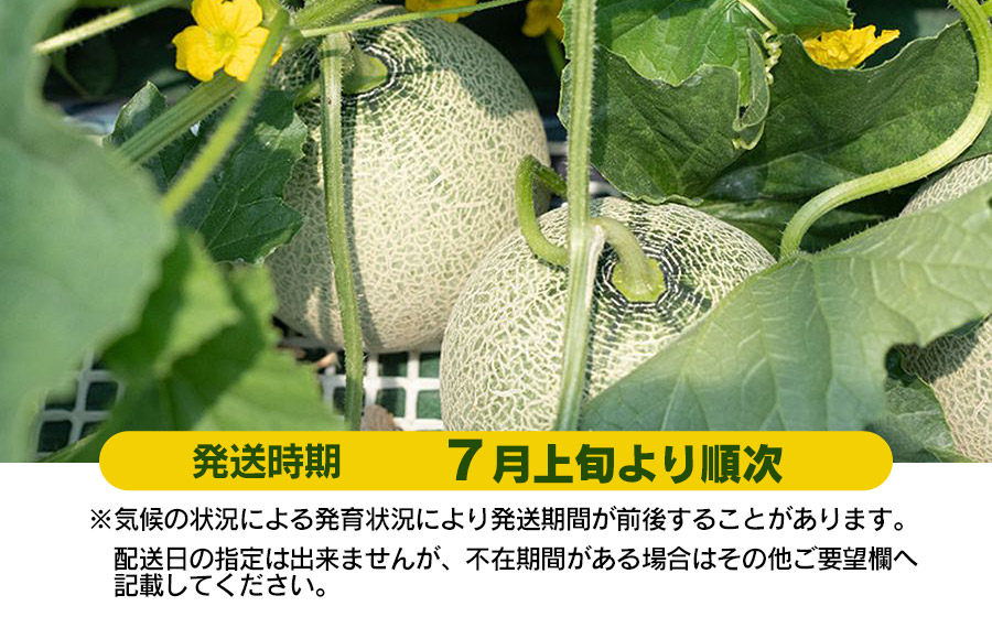 【令和8年産先行予約】 鶴姫レッドメロン（3～5玉） 秀品 4L～2L　K-843　JA鶴岡　赤肉メロン