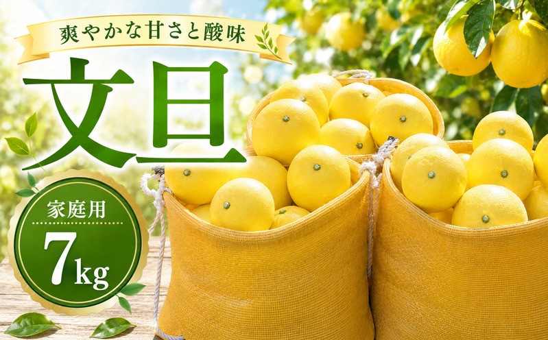 
                  【先行予約：2027年2月上旬～発送】家庭用 文旦 7kg (3.5kg×2箱) サイズミックス (L~3L) 土佐文旦 文旦 みかん 蜜柑 予約 数量限定 傷 不揃い 規格外 常温 愛南町 大串農園
                