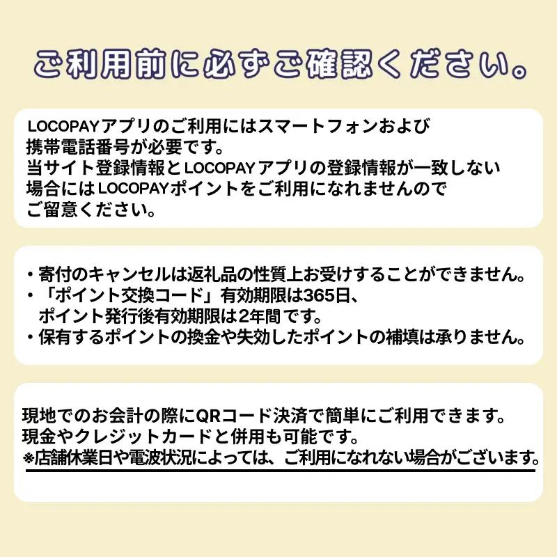 LOCOPAYデジタル返礼ポイント【30,000ポイント】_B167-004