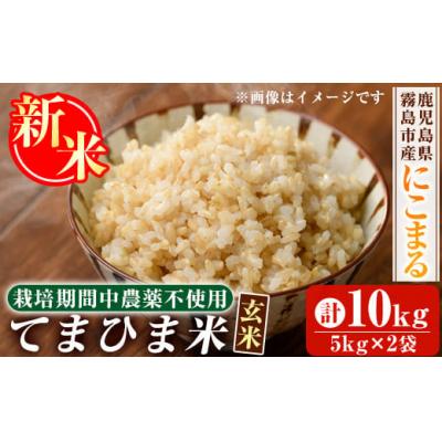 ふるさと納税 霧島市 先行受付《令和7年産新米》てまひま米・玄米(品種:にこまる)(計10kg)【末蜜農園】K-391-C