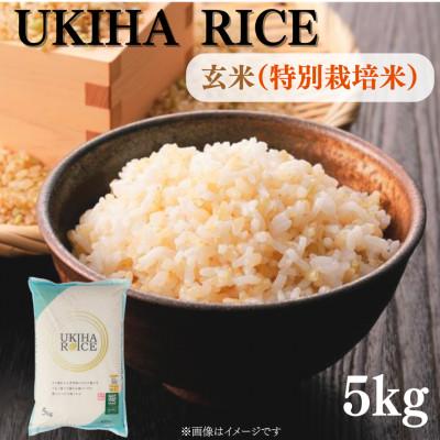 ふるさと納税 うきは市 UKIHA RICE 玄米5kg(特別栽培米)063-0069