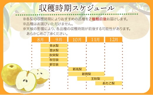 【先行予約】旬 の 赤梨 セット 約4kg (4~13玉) 《8月下旬から1月上旬頃出荷》 鳥取県 八頭町 梨 なし ナシ 果物 フルーツ 秀品 厳選 ふるさと納税 高間商店 幸水 豊水 秋栄梨 秋甘