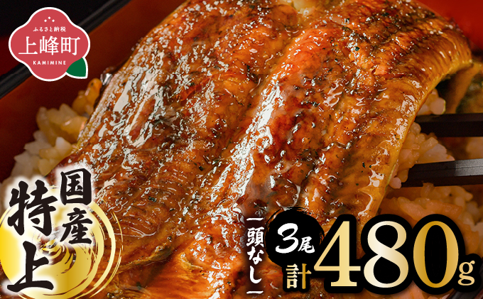 国産うなぎ蒲焼160g×3尾（無頭）【B-1218-PE】