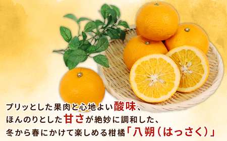 はっさく 訳あり 八朔 10~12kg 先行予約 ふるくとファーム かなこちゃんち 果物 くだもの フルーツ 柑橘 みかん 蜜柑 mikan わけあり 訳アリ 訳あり品 ビタミンC たっぷり 愛媛ミカ