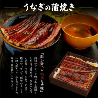 KGP045　高知ブランド鰻「西岡うなぎ」《超特上》うなぎの蒲焼き・白焼き2尾セット（約440g） オリジナルタレ・山椒付き 国産 ウナギ 鰻 冷凍配送 高知県産 うな重 丼 特大 自宅用 家庭用_イ