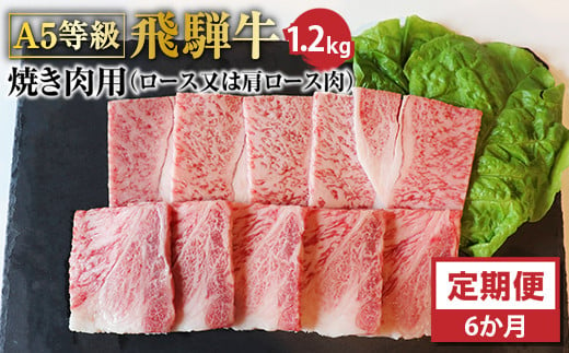 
【6ヶ月定期便】Ａ5等級飛騨牛焼き肉用1.2ｋｇ　ロース又は肩ロース肉
