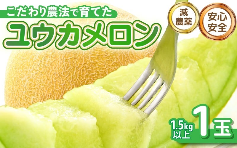 
            【先行予約】 安心安全！減農薬！こだわり農法で育てた ユウカメロン 1玉 1.5kg以上 【2026年6月中旬以降順次発送予定】 【メロン めろん フルーツ デザート 果物 くだもの 果実 糖度 甘い 産地直送 国産】 [A-21206]
          