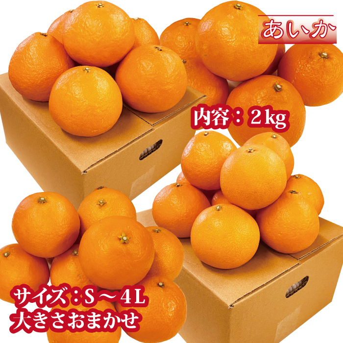 【2026年先行予約】訳あり 愛果28号 約2kg ご家庭用 みかん 愛媛 人気 サイズミックス 柑橘 伊予市【2026年12月上旬順次発送】｜B172