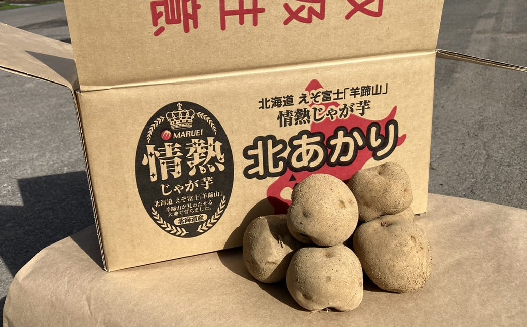 【先行受付】北海道産 情熱じゃが芋（北あかり） Lサイズ 計約5kg