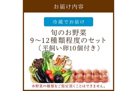 京都・京野菜セット（卵付き）【アスカ有機農園】京の旬野菜セットL平飼い卵付き（栽培期間中農薬・化学肥料不使用）＜京都 オーガニック アクション加盟＞京野菜セット・野菜 詰め合わせ・栽培期間中 無農薬・